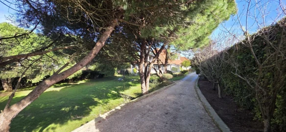 Moradia T5 para Venda em Manique do Intendente, Vila Nova de São Pedro e Maçussa