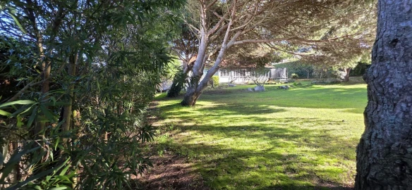 Moradia T5 para Venda em Manique do Intendente, Vila Nova de São Pedro e Maçussa