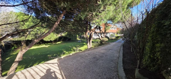 Moradia T5 para Venda em Manique do Intendente, Vila Nova de São Pedro e Maçussa