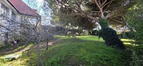 Moradia T5 para Venda em Manique do Intendente, Vila Nova de São Pedro e Maçussa
