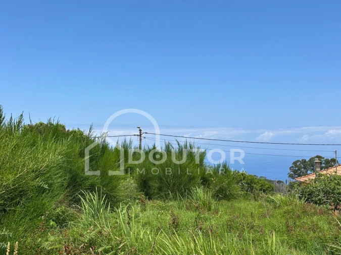 Terreno para Venda em Porto Moniz Foto 17