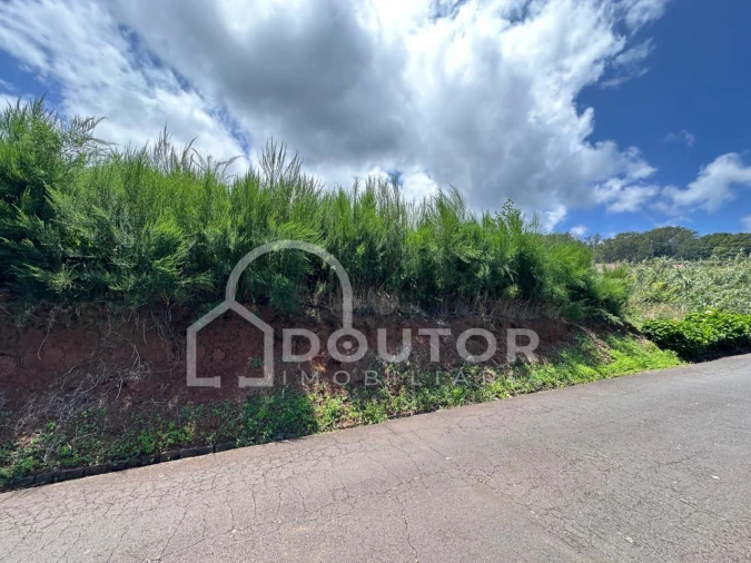 Terreno para Venda em Porto Moniz Foto 19