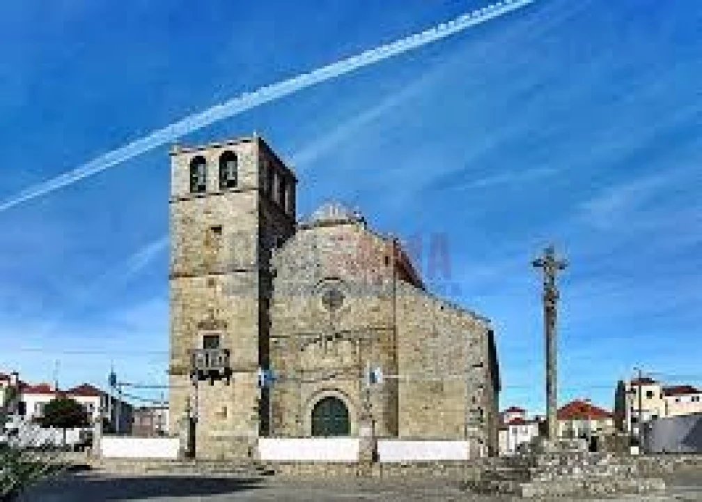 Terreno para Venda em Arvore Foto 6