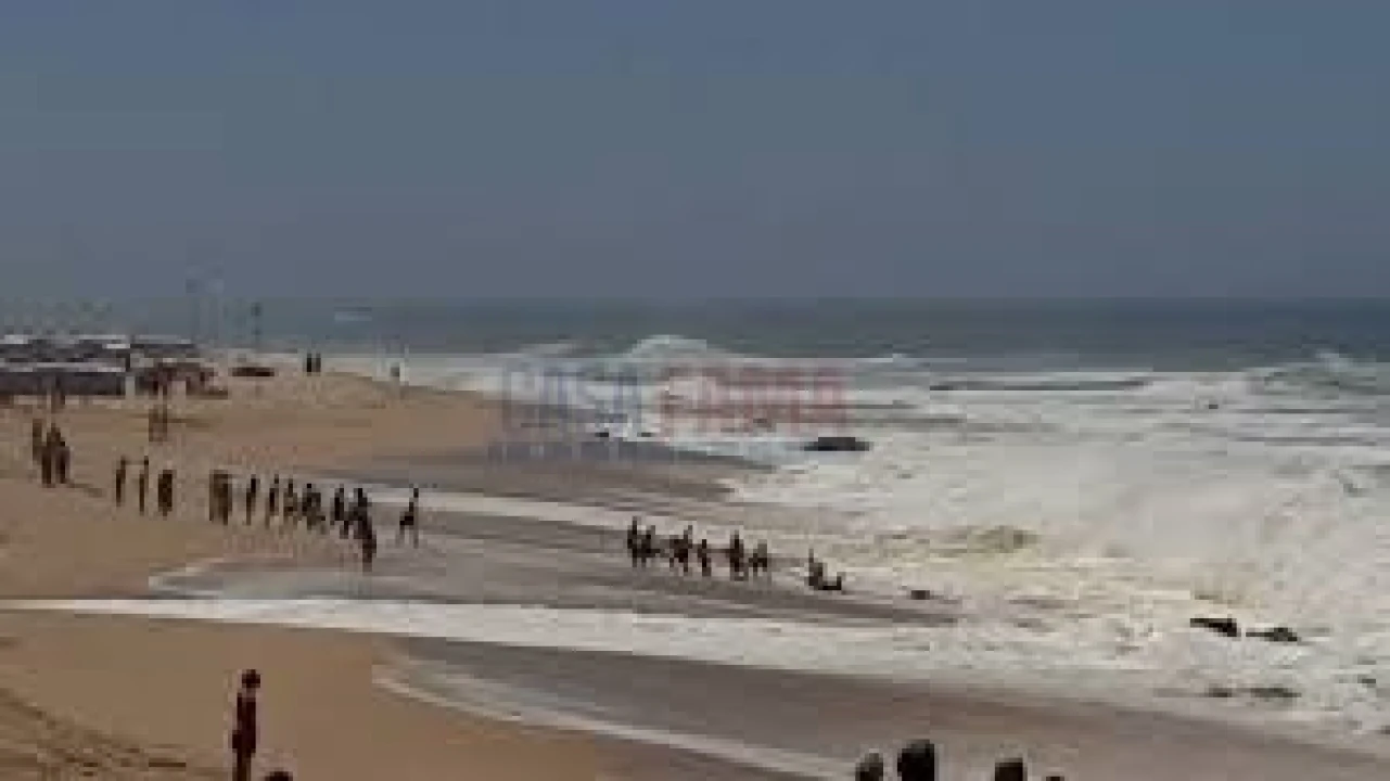 Terreno para Venda em Arvore Foto 16