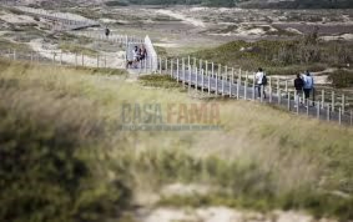 Terreno para Venda em Arvore Foto 19