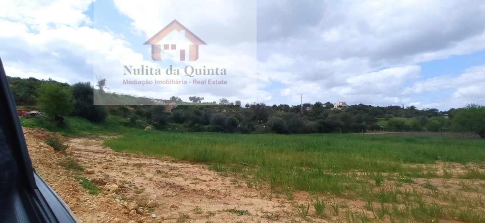 Negócio para Venda em Guia Foto 11