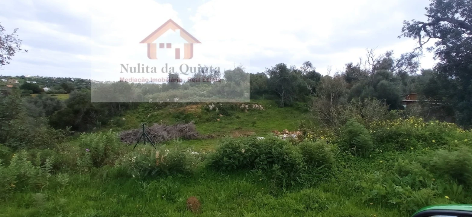 Negócio para Venda em Guia Foto 12