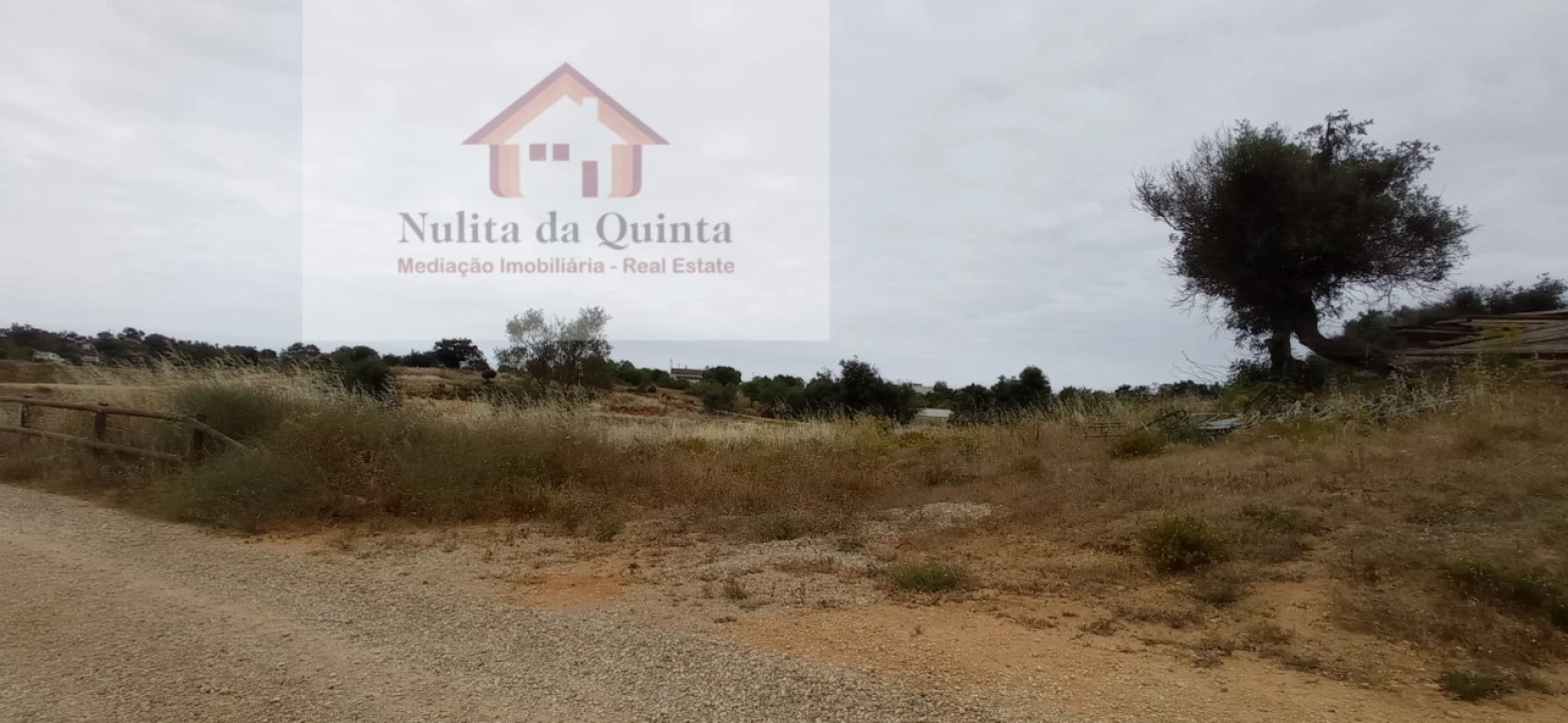 Negócio para Venda em Guia Foto 14