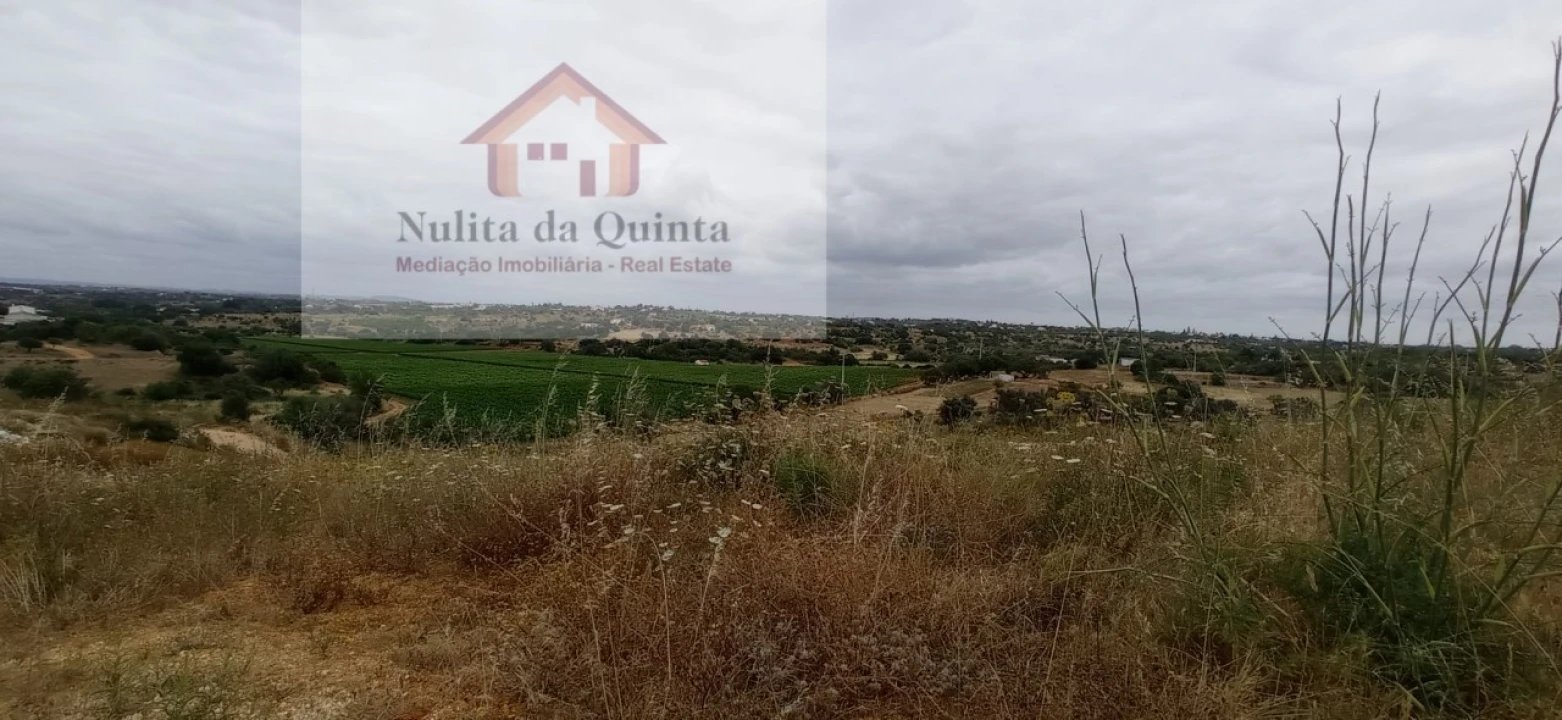 Negócio para Venda em Guia Foto 15