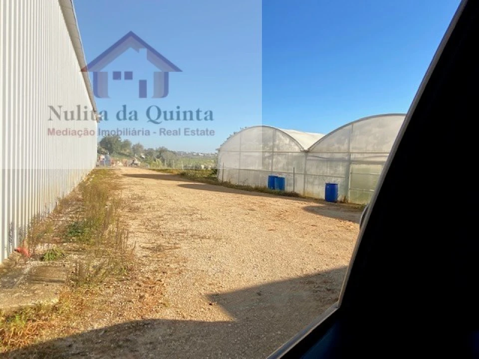 Negócio para Venda em Guia Foto 31