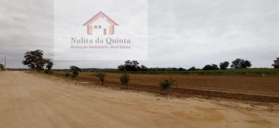 Negócio para Venda em Guia Foto 10