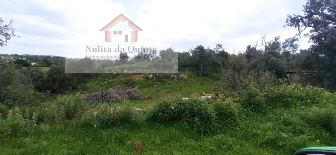 Negócio para Venda em Guia Foto 12