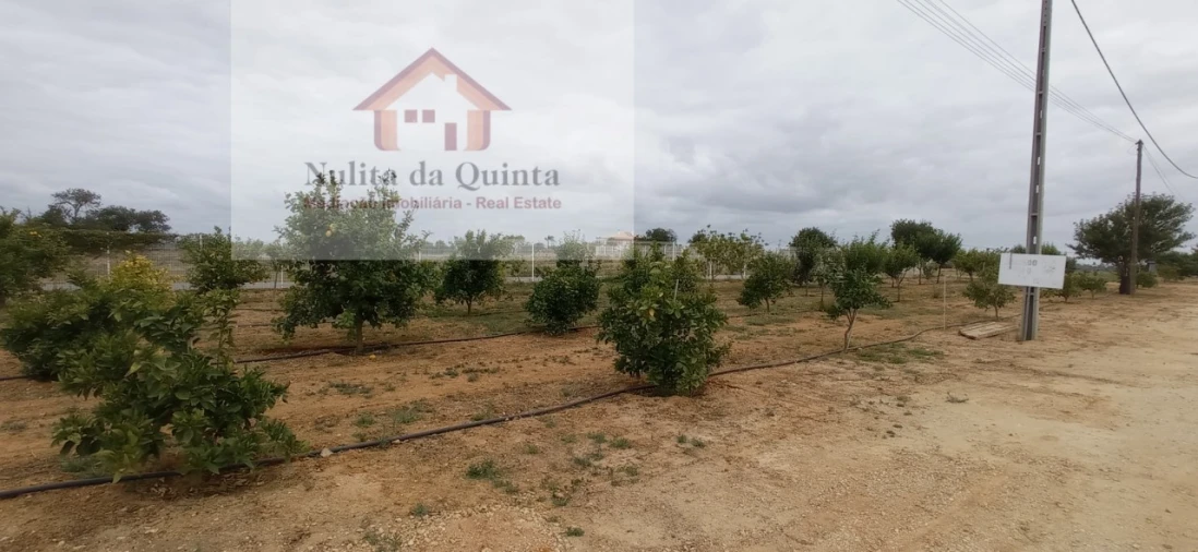 Negócio para Venda em Guia Foto 13