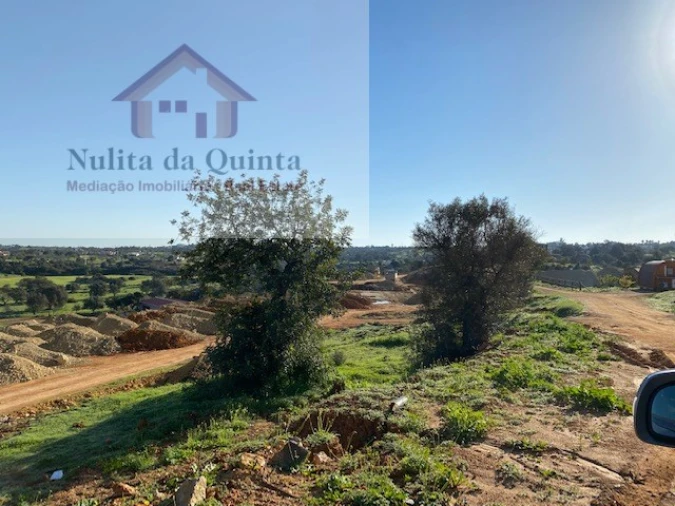 Negócio para Venda em Guia Foto 17