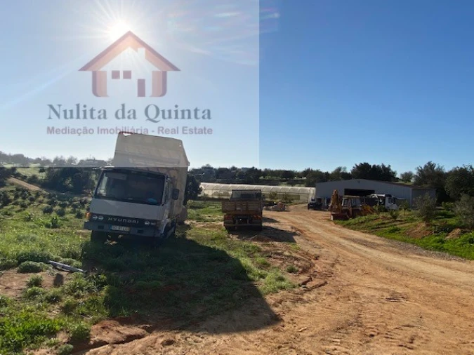 Negócio para Venda em Guia Foto 36