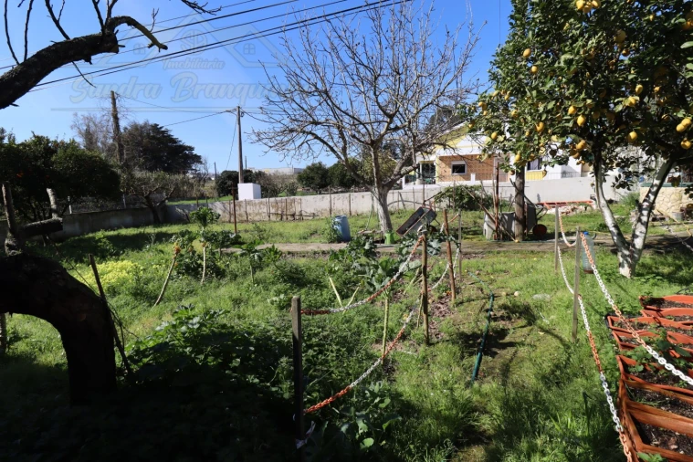 Moradia T3 para Venda em Carregado e Cadafais Foto 33