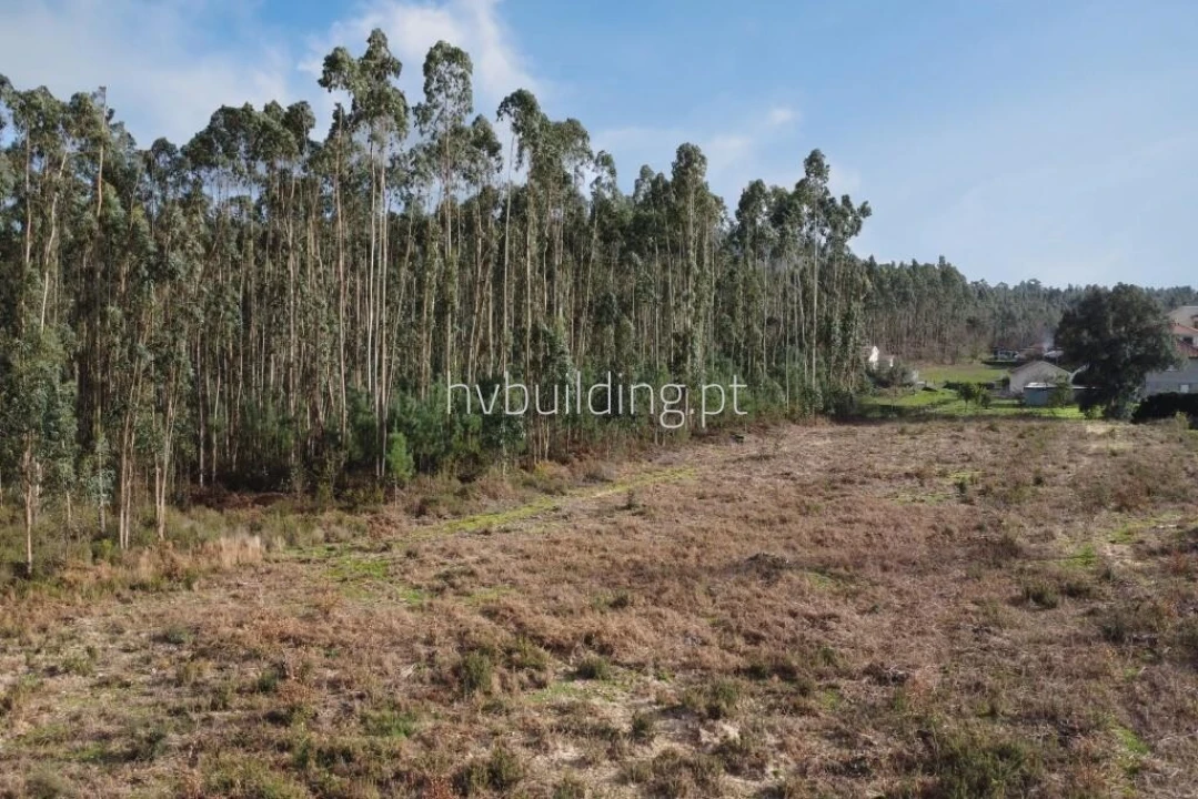 Terreno para Venda em Alheira e Igreja Nova Foto 4