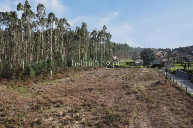 Terreno para Venda em Alheira e Igreja Nova Foto 5