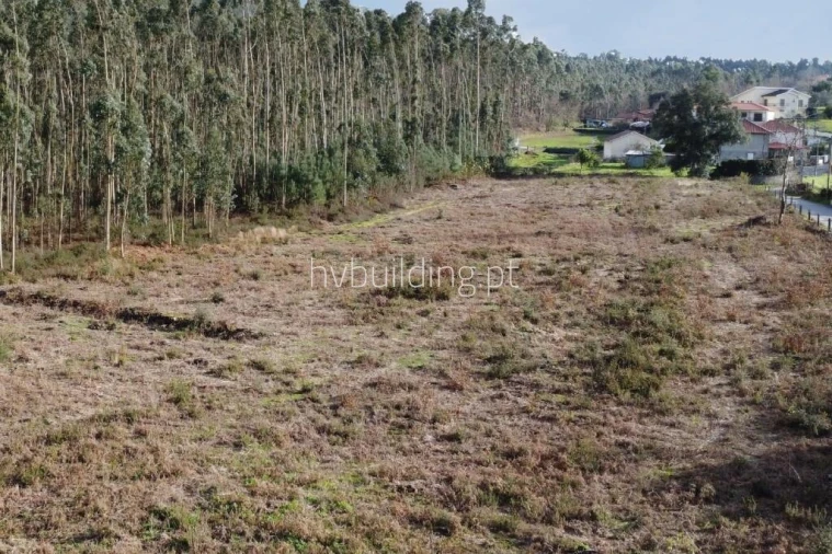 Terreno para Venda em Alheira e Igreja Nova Foto 6