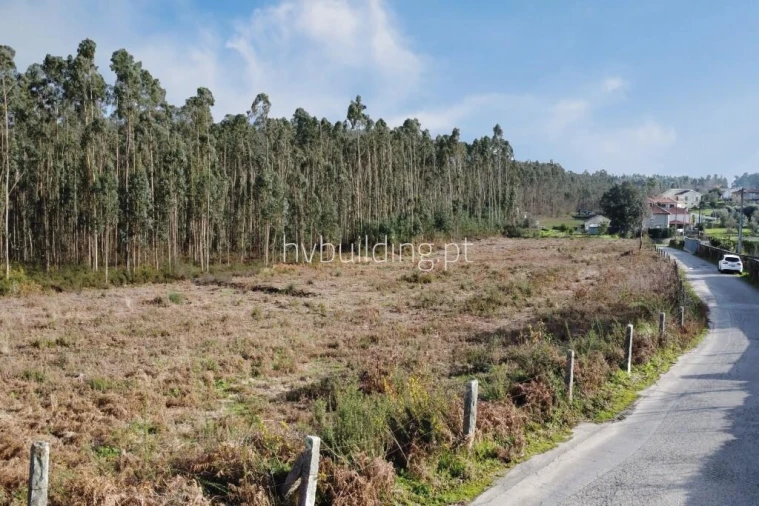 Terreno para Venda em Alheira e Igreja Nova Foto 7