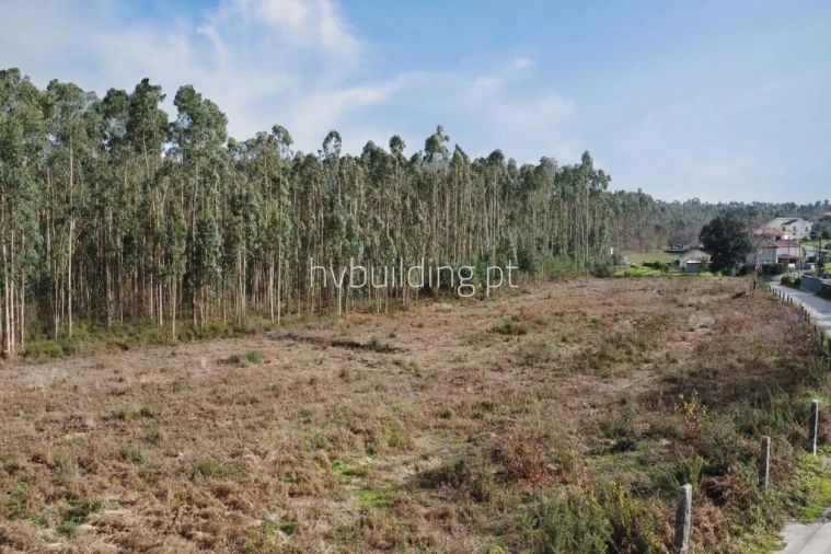 Terreno para Venda em Alheira e Igreja Nova Foto 1