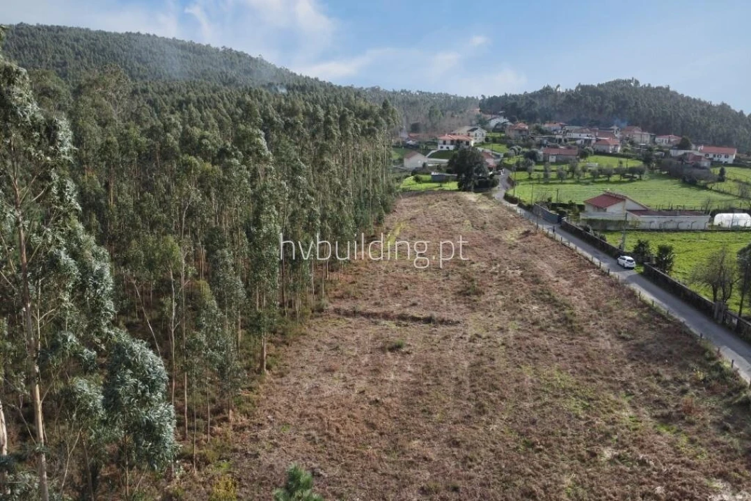 Terreno para Venda em Alheira e Igreja Nova Foto 3