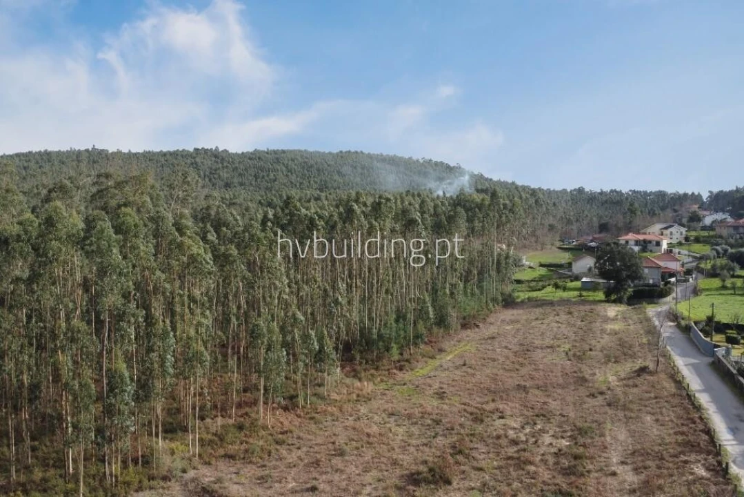 Terreno para Venda em Alheira e Igreja Nova Foto 2