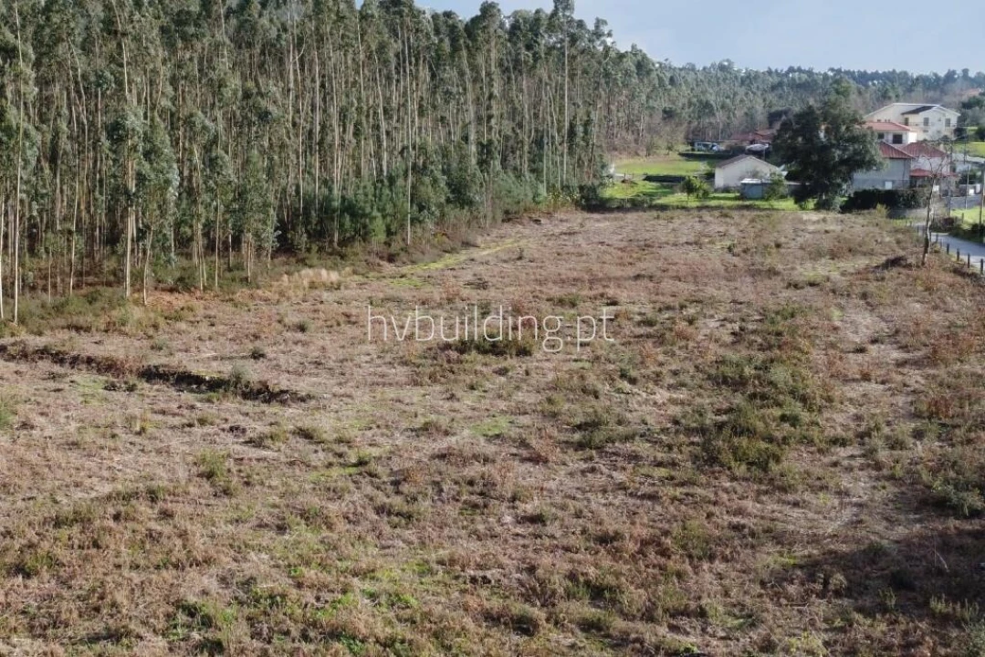 Terreno para Venda em Alheira e Igreja Nova Foto 6