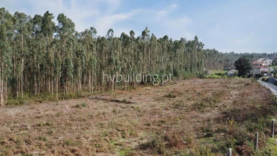 Terreno para Venda em Alheira e Igreja Nova