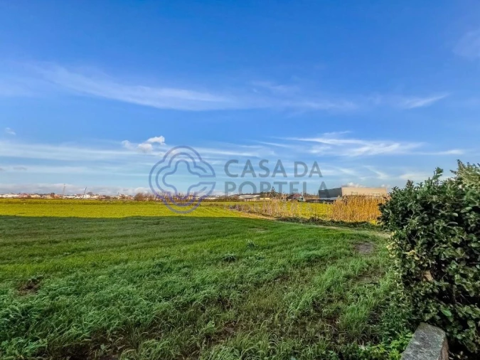 Apartamento T1 para Venda em Perafita, Lavra e Santa Cruz do Bispo Foto 27
