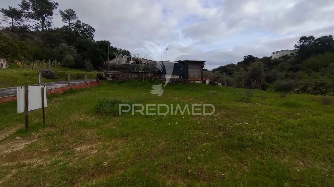 Terreno para Venda em Chamusca e Pinheiro Grande Foto 14