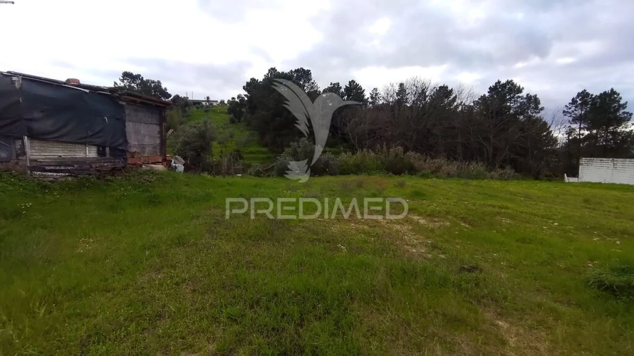 Terreno para Venda em Chamusca e Pinheiro Grande Foto 18