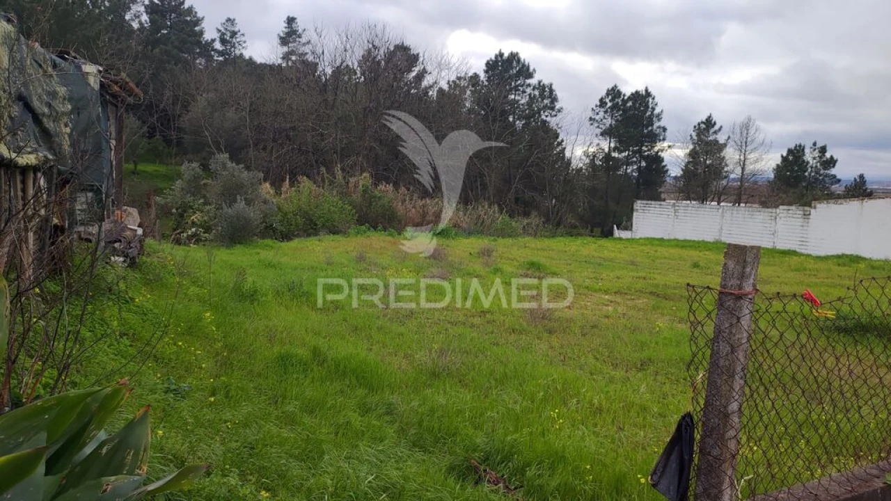 Terreno para Venda em Chamusca e Pinheiro Grande Foto 8