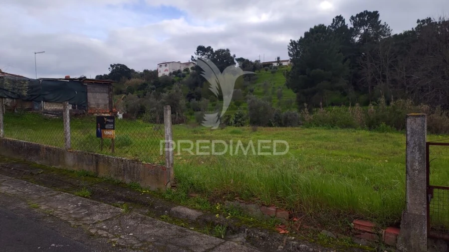 Terreno para Venda em Chamusca e Pinheiro Grande Foto 11