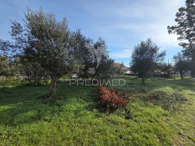 Terreno para Venda em Praia do Ribatejo Foto 14