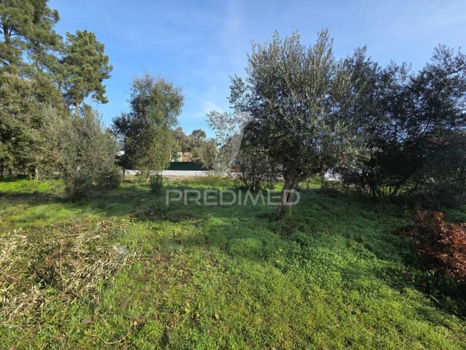 Terreno para Venda em Praia do Ribatejo Foto 13