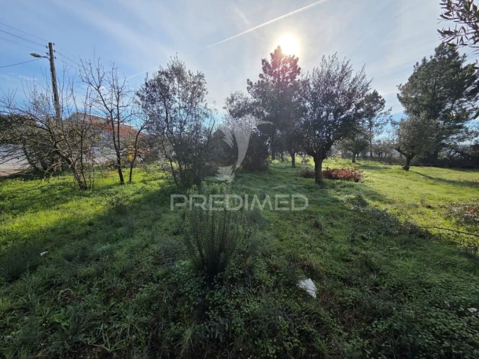 Terreno para Venda em Praia do Ribatejo Foto 15