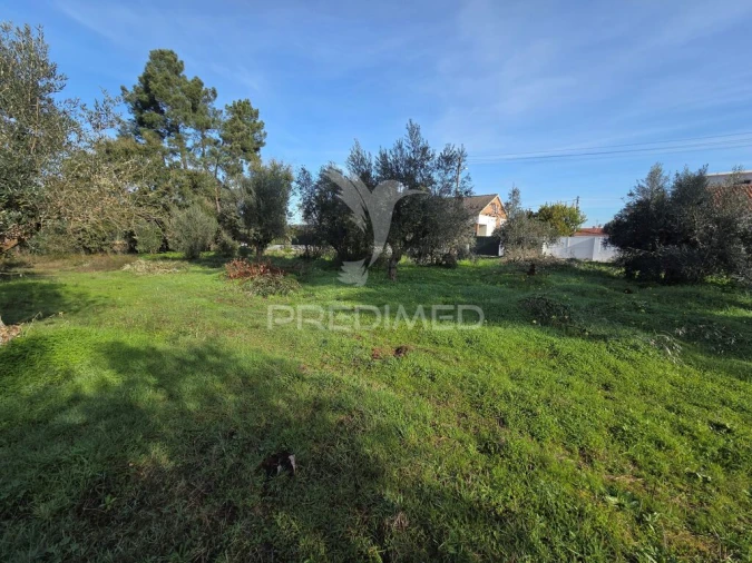 Terreno para Venda em Praia do Ribatejo Foto 10