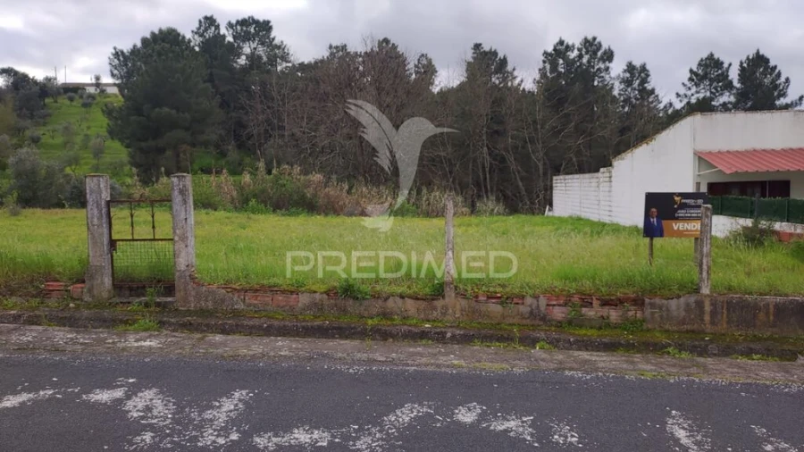 Terreno para Venda em Chamusca e Pinheiro Grande Foto 2