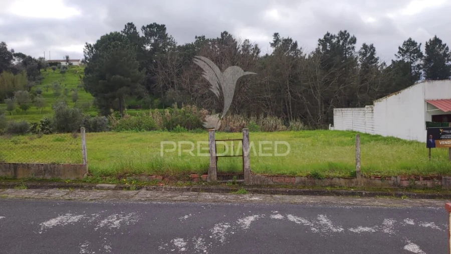 Terreno para Venda em Chamusca e Pinheiro Grande Foto 6