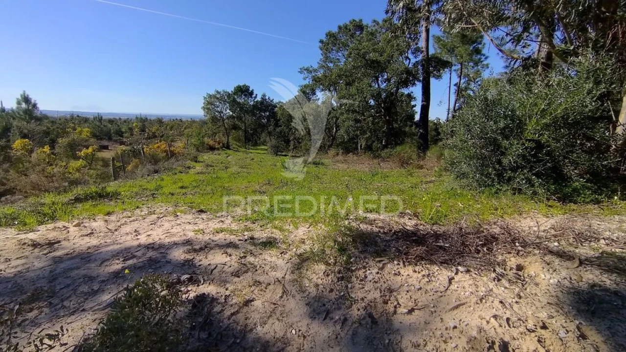 Terreno para Venda em Carregueira Foto 8