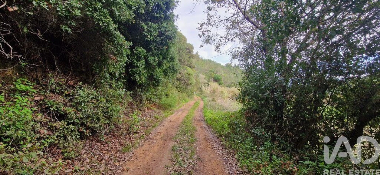 Terreno para Venda em Carvoeira Foto 6