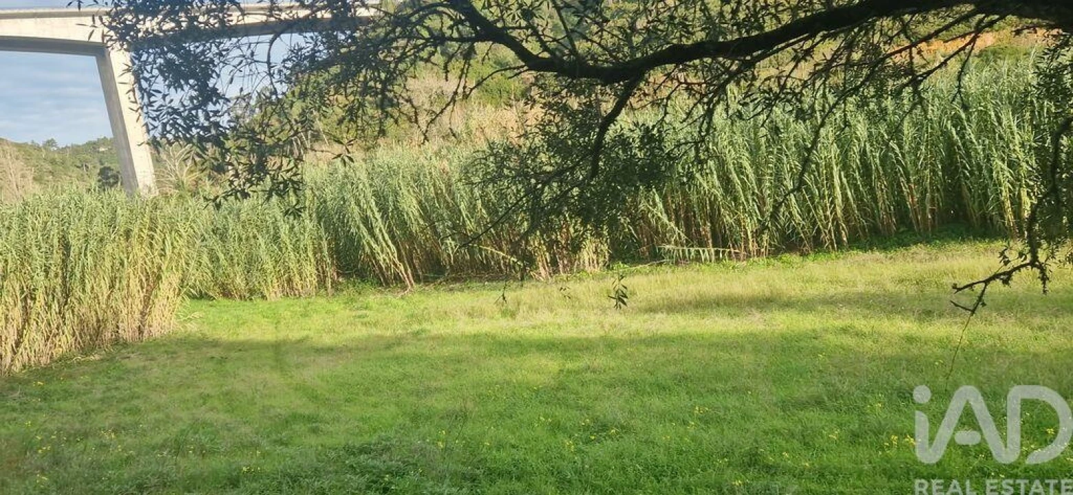 Terreno para Venda em Carvoeira Foto 2