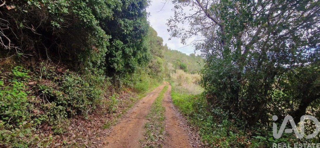 Terreno para Venda em Carvoeira Foto 6