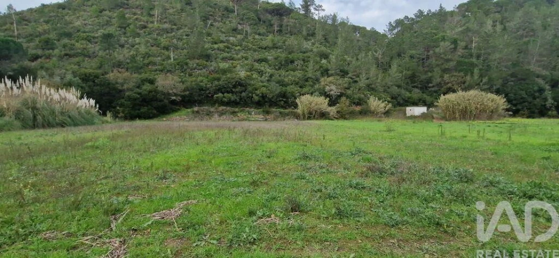Terreno para Venda em Carvoeira Foto 18