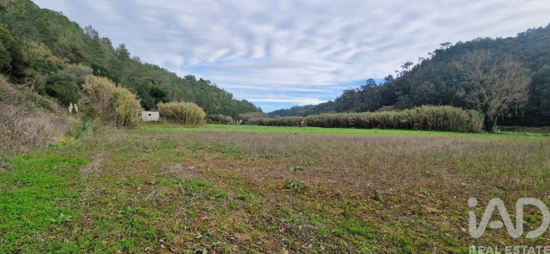 Terreno para Venda em Carvoeira Foto 12