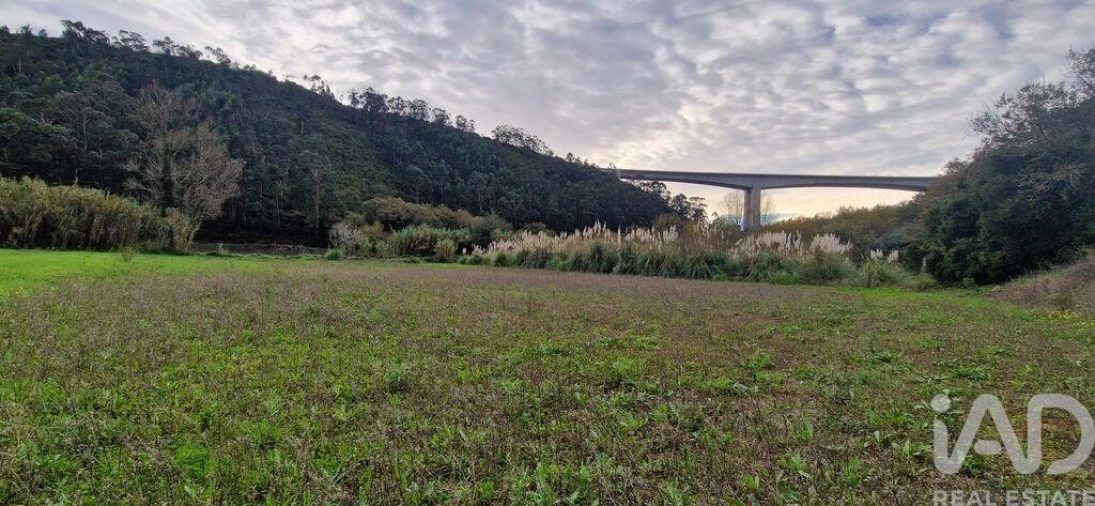 Terreno para Venda em Carvoeira Foto 11