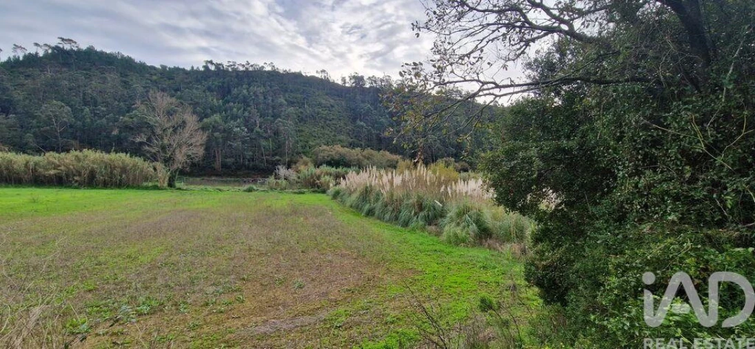 Terreno para Venda em Carvoeira Foto 7