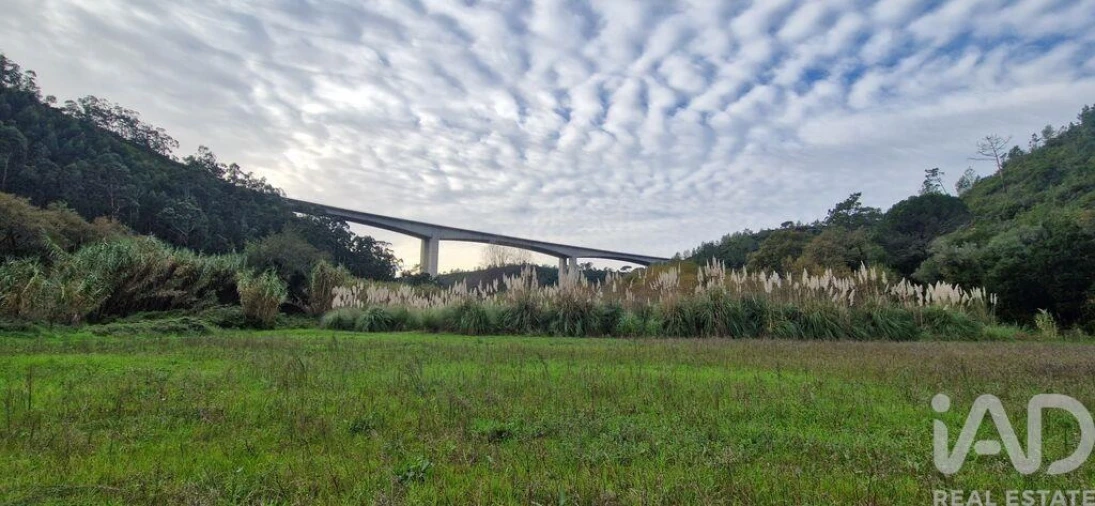 Terreno para Venda em Carvoeira Foto 14