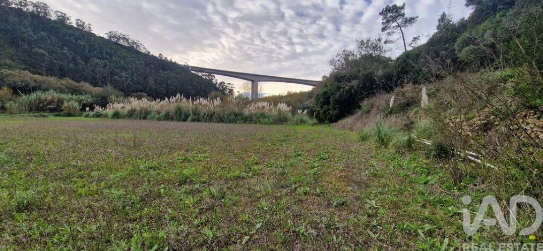 Terreno para Venda em Carvoeira Foto 13